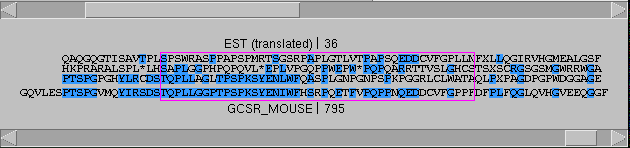 frame_shift2